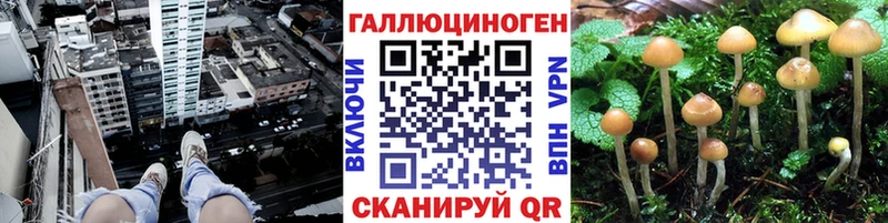 Купить где  Переславль-Залесский  Галлюциногенные грибы мухоморы 